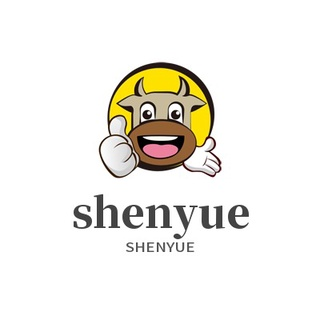 shenyuefp.mx